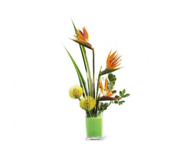 The Tropical Bright Arrangement